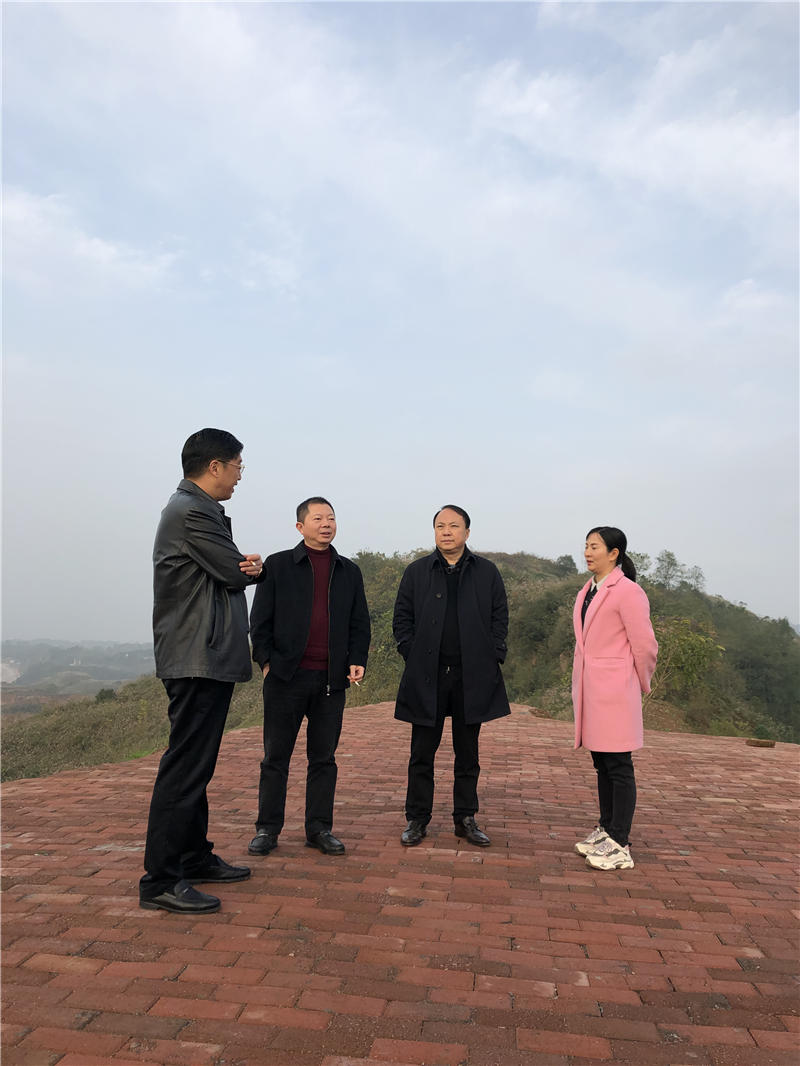 新闻01 新闻01