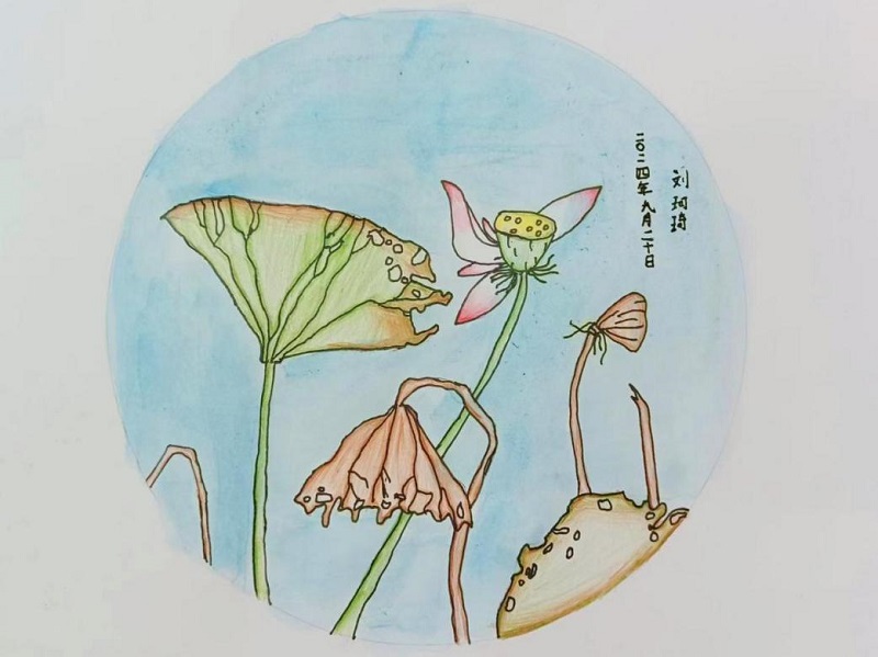 问鼎国际(中国区) - 官方网站